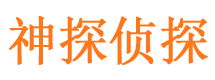 天峨寻人公司